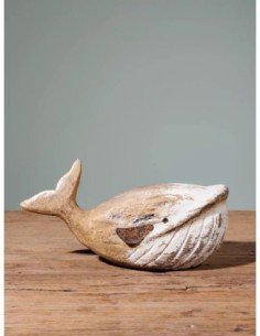 ballena pequeña 