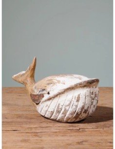 ballena pequeña  2