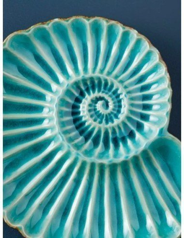  plato nautilus 