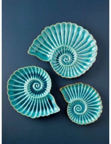  plato nautilus