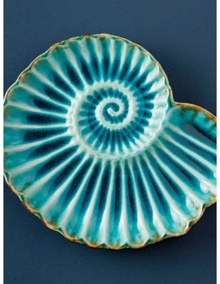  plato nautilus pequeño 