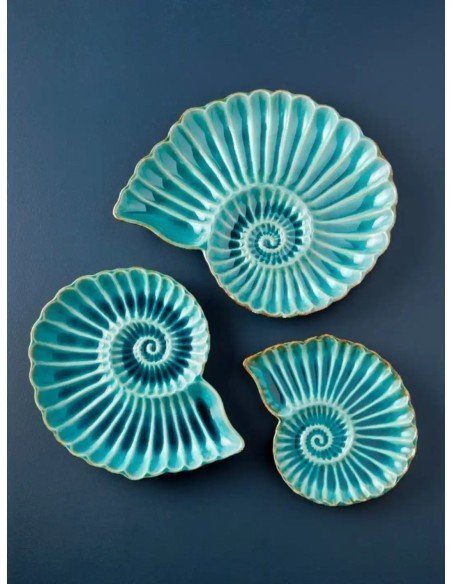  plato nautilus pequeño