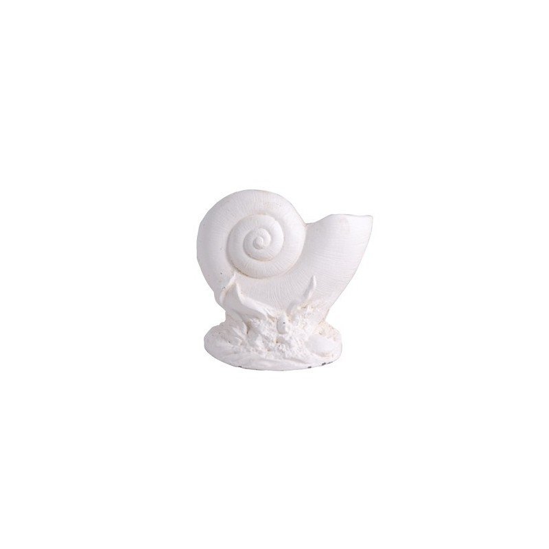 CONCHA NAUTILUS EN HIERRO SUJETA PUERTAS