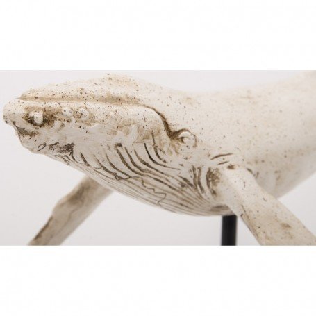 detalle ballena marina detalle ballena marina