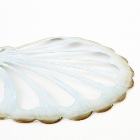 Colgante concha de mar blanca 