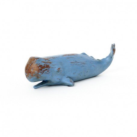 Cachalote marino decoración marinera