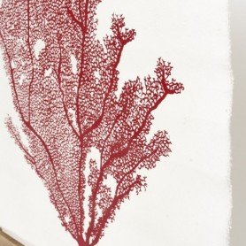 Lámina coral marino rojo de pared 2