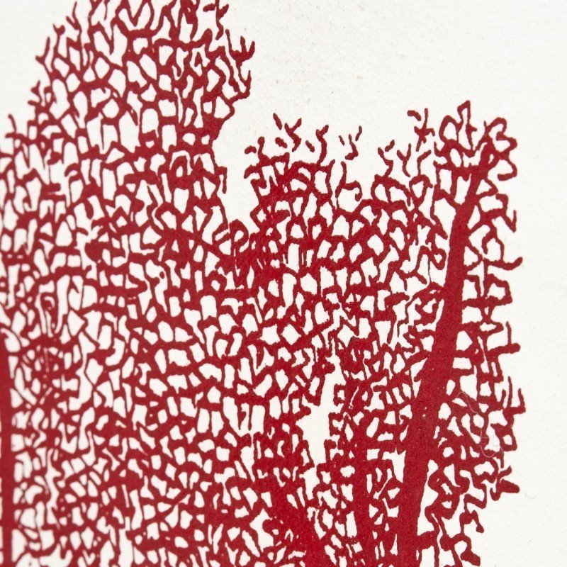 Lámina coral rojo de pared