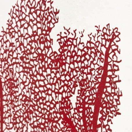 Lámina coral rojo de pared