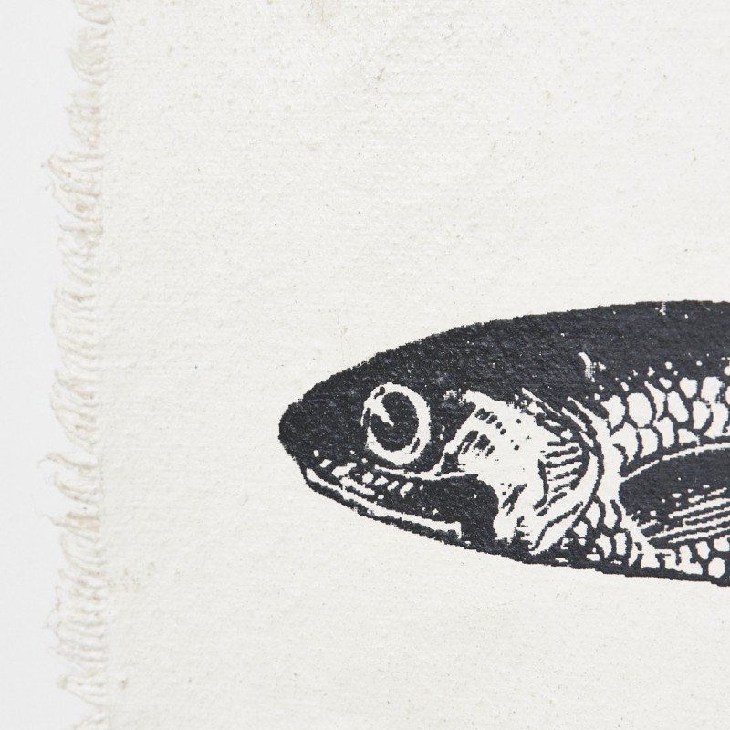 Lámina peces marineros decorativos