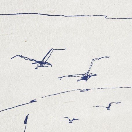 Lámina de tela pesquero y gaviotas