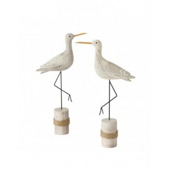 Aves marinas