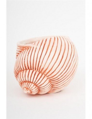 Tiesto de caracola rosada