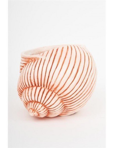 Tiesto de caracola rosada Tiesto de caracola rosada