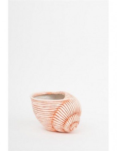 Tiesto caracola multiusos