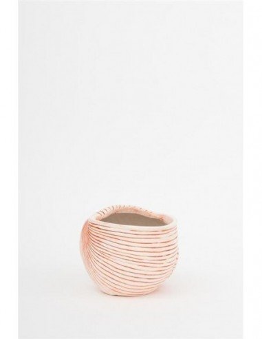 Tiesto caracola pequeño