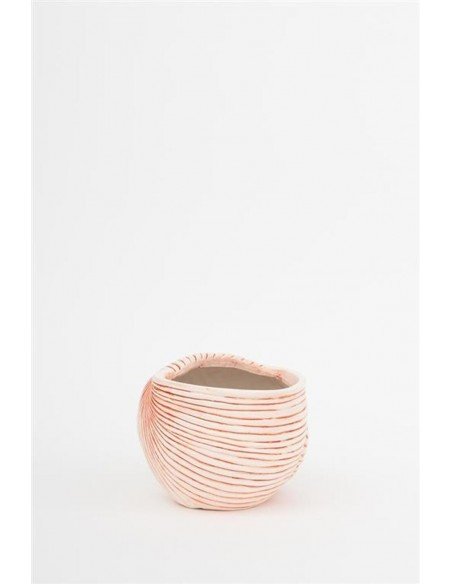 Tiesto caracola pequeño Tiesto caracola pequeño