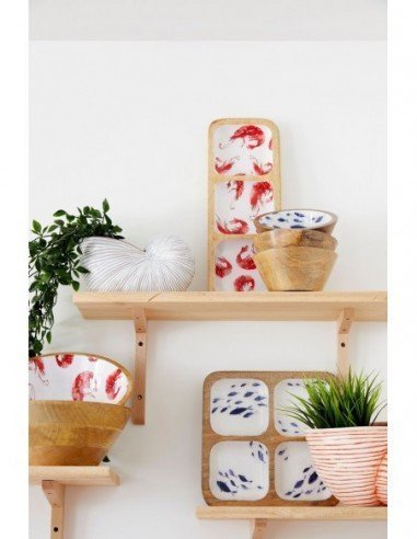 Tiesto caracola ambiente