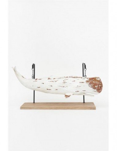 Ballena figura marina
