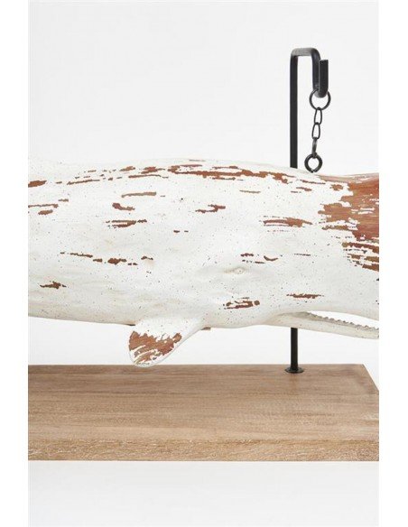 Ballena náutica  Ballena náutica