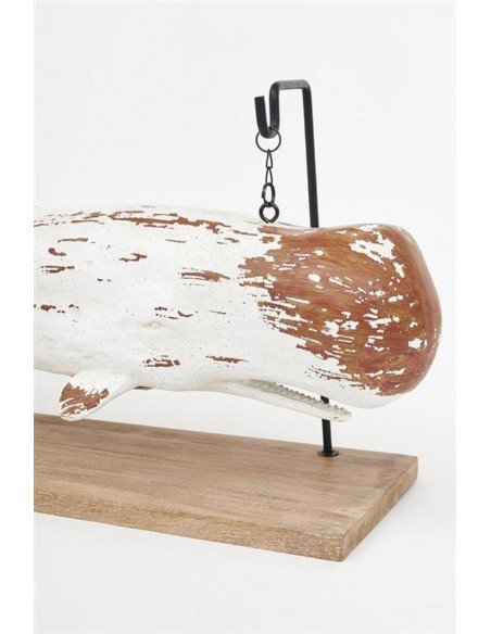 Ballena marinera Ballena marinera